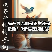 猫产后流血是正常还是危险?3步快速识别法(图3) 猫产后流血是正常还是危险?3步快速识别法(图3)