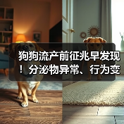 狗狗流产前征兆早发现!分泌物异常、行为变化警惕,新手必看急救指南(图2) 狗狗流产前征兆早发现!分泌物异常、行为变化警惕,新手必看急救指南(图2)