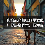 狗狗流产前征兆早发现!分泌物异常、行为变化警惕,新手必看急救指南(图4) 狗狗流产前征兆早发现!分泌物异常、行为变化警惕,新手必看急救指南(图4)