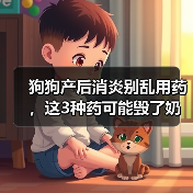 狗狗产后消炎别乱用药,这3种药可能毁了奶水(图3) 狗狗产后消炎别乱用药,这3种药可能毁了奶水(图3)