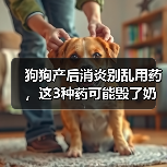 狗狗产后消炎别乱用药,这3种药可能毁了奶水(图4) 狗狗产后消炎别乱用药,这3种药可能毁了奶水(图4)