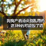 狗狗产后消炎别乱用药,这3种药可能毁了奶水(图2) 狗狗产后消炎别乱用药,这3种药可能毁了奶水(图2)