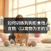 如何训练狗狗拒食他人食物(以宠物为主的实用技巧)(图2) 如何训练狗狗拒食他人食物(以宠物为主的实用技巧)(图2)