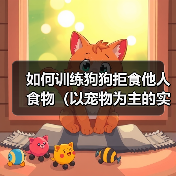 如何训练狗狗拒食他人食物(以宠物为主的实用技巧)(图3) 如何训练狗狗拒食他人食物(以宠物为主的实用技巧)(图3)