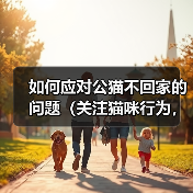 如何应对公猫不回家的问题(关注猫咪行为,建立安全环境)(图3) 如何应对公猫不回家的问题(关注猫咪行为,建立安全环境)(图3)