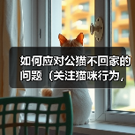 如何应对公猫不回家的问题(关注猫咪行为,建立安全环境)(图1) 如何应对公猫不回家的问题(关注猫咪行为,建立安全环境)(图1)