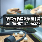 瑞辰宠物医院集团 | 第3周“每周之星”光荣榜（图1）