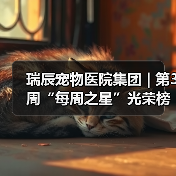 瑞辰宠物医院集团 | 第3周“每周之星”光荣榜（图2）