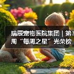 瑞辰宠物医院集团 | 第3周“每周之星”光荣榜（图4）