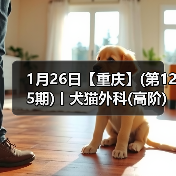 1月26日【重庆】(第125期)丨犬猫外科(高阶)班！含SUB(人人可实操)、乳糜胸等技术！