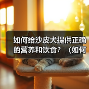 如何给沙皮犬提供正确的营养和饮食？（如何给沙皮犬提供正确的营养和饮食？）（图3）