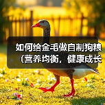 如何给金毛做自制狗粮(营养均衡,健康成长)(图3) 如何给金毛做自制狗粮(营养均衡,健康成长)(图3)