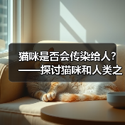 猫咪是否会传染给人？——探讨猫咪和人类之间的健康关系