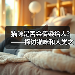 猫咪是否会传染给人？——探讨猫咪和人类之间的健康关系（图3）