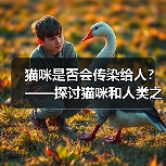 猫咪是否会传染给人？——探讨猫咪和人类之间的健康关系（图2）