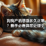 狗狗产后恶露多久正常？新手必看异常处理全攻略（图3）