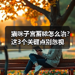 猫咪子宫蓄脓怎么治?这3个关键点别忽视(图4) 猫咪子宫蓄脓怎么治?这3个关键点别忽视(图4)