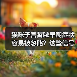 猫咪子宫蓄脓早期症状容易被忽略？这些信号要牢记（图4）