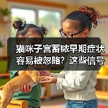 猫咪子宫蓄脓早期症状容易被忽略？这些信号要牢记（图2）
