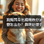 狗狗耳朵出现褐色分泌物怎么办？异味处理全攻略（图3）