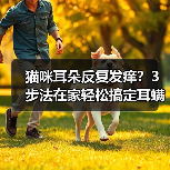 猫咪耳朵反复发痒？3步法在家轻松搞定耳螨！（图1）