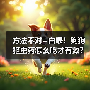 方法不对=白喂！狗狗驱虫药怎么吃才有效？（图4）