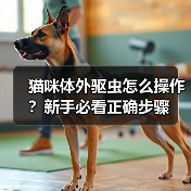 猫咪体外驱虫怎么操作?新手必看正确步骤(图2) 猫咪体外驱虫怎么操作?新手必看正确步骤(图2)