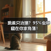跳蚤只治猫?95%虫卵藏在你家角落!(图4) 跳蚤只治猫?95%虫卵藏在你家角落!(图4)