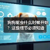 狗狗驱虫什么时候开始？这些细节必须知道