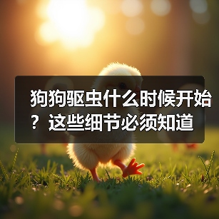 狗狗驱虫什么时候开始?这些细节必须知道(图3) 狗狗驱虫什么时候开始?这些细节必须知道(图3)