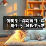 狗狗身上痒别盲目止痒！寄生虫、过敏还是感染？对症下药才有效（图4）