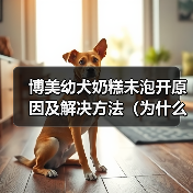 博美幼犬奶糕未泡开原因及解决方法（为什么博美幼犬奶糕没泡开？如何避免和解决？）