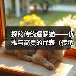 探秘传统暹罗猫——优雅与高贵的代表（传承千年的优良品种，这些细节你一定要知道）