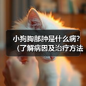 小狗胸部肿是什么病？（了解病因及治疗方法）
