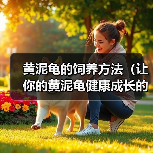 黄泥龟的饲养方法（让你的黄泥龟健康成长的秘诀）