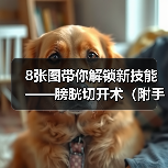 8张图带你解锁新技能——膀胱切开术(附手术视频)(图4) 8张图带你解锁新技能——膀胱切开术(附手术视频)(图4)