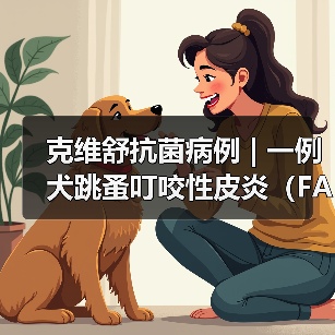 克维舒抗菌病例 | 一例犬跳蚤叮咬性皮炎（FAD）的病例分析