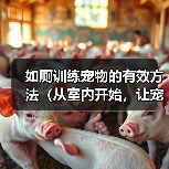 如厕训练宠物的有效方法（从室内开始，让宠物养成良好的如厕习惯）