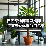 白色泰迪剪造型指南（打造可爱优雅的白色泰迪造型，让你的宠物成为众人焦点）