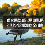 猫咪尿路感染尿血乱尿?科学诊断治疗全指南(图4) 猫咪尿路感染尿血乱尿?科学诊断治疗全指南(图4)