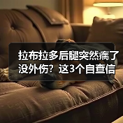 拉布拉多后腿突然瘸了没外伤?这3个自查信号要牢记(图2) 拉布拉多后腿突然瘸了没外伤?这3个自查信号要牢记(图2)