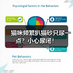 猫咪频繁扒猫砂只尿一点？小心尿闭！（图1）