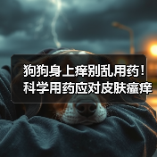 狗狗身上痒别乱用药!科学用药应对皮肤瘙痒原因(图1) 狗狗身上痒别乱用药!科学用药应对皮肤瘙痒原因(图1)
