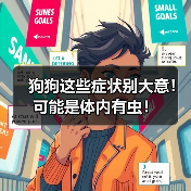 狗狗这些症状别大意！可能是体内有虫！（图2）
