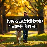 狗狗这些症状别大意！可能是体内有虫！（图4）