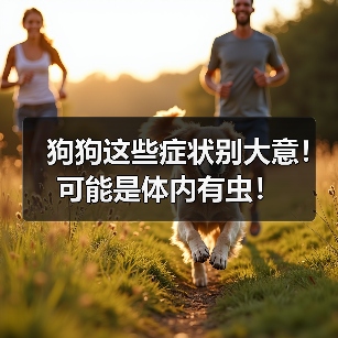 狗狗这些症状别大意！可能是体内有虫！（图1）