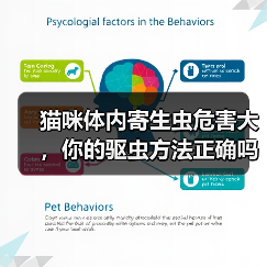 猫咪体内寄生虫危害大,你的驱虫方法正确吗?(图3) 猫咪体内寄生虫危害大,你的驱虫方法正确吗?(图3)