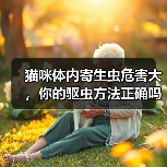 猫咪体内寄生虫危害大,你的驱虫方法正确吗?(图2) 猫咪体内寄生虫危害大,你的驱虫方法正确吗?(图2)
