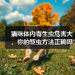 猫咪体内寄生虫危害大,你的驱虫方法正确吗?(图4) 猫咪体内寄生虫危害大,你的驱虫方法正确吗?(图4)
