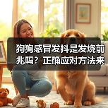 狗狗感冒发抖是发烧前兆吗?正确应对方法来了!(图3) 狗狗感冒发抖是发烧前兆吗?正确应对方法来了!(图3)